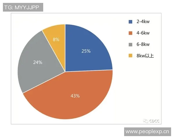 深圳排球队意识表现的数据分析与提升策略探讨