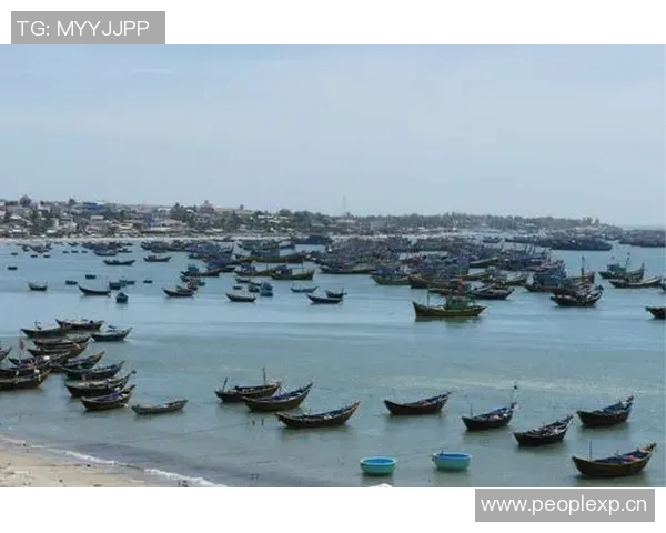 越南与马来西亚激战正酣直播时间定于12月11日敬请关注 越南与马来西亚激战正酣直播时间定于12月11日敬请关注